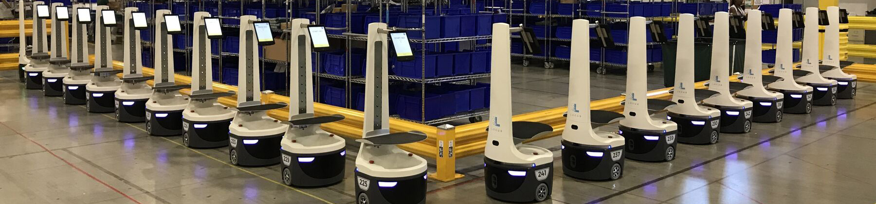 Warehouse Robots